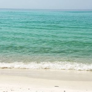 Meet your Posher, Sheree